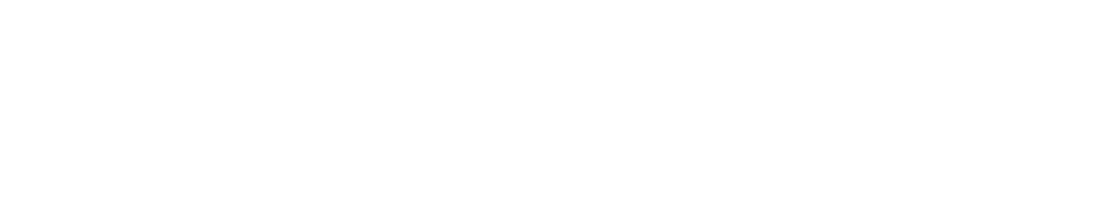 BWS Consulting & Mais Formação